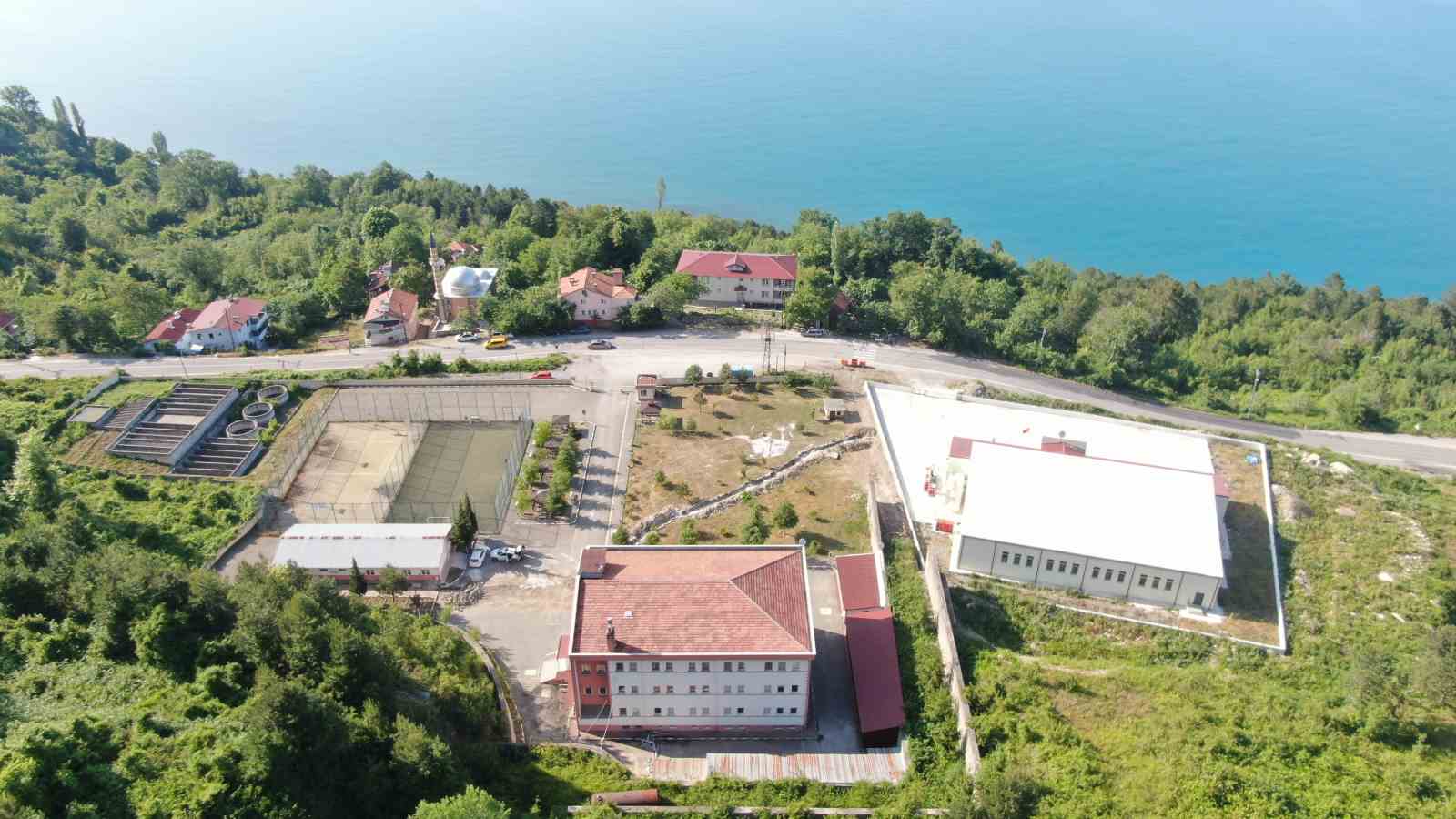 Kastamonu’da, Rusya’dan gelen polen tespit edildi: Polen alerjisi olanları ağustos ve eylül aylarında etkiliyor
