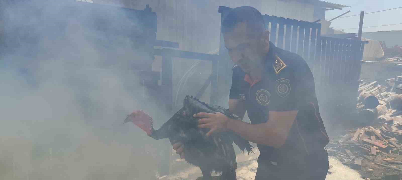 Kahramanmaraş&rsquo;ta ahşap palet &uuml;retim tesisi yangını
