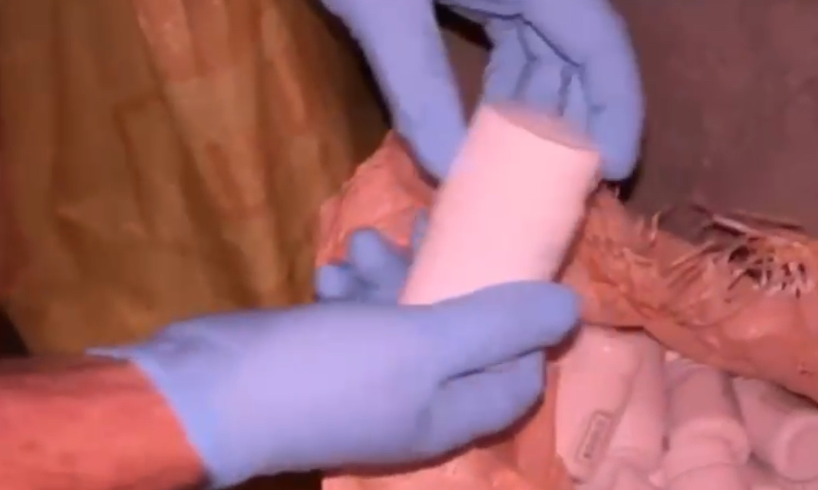 Ahırdaki arı kovanlarının arkasına gizlenen &ccedil;uvallardan 54 bine yakın uyuşturucu hap &ccedil;ıktı
