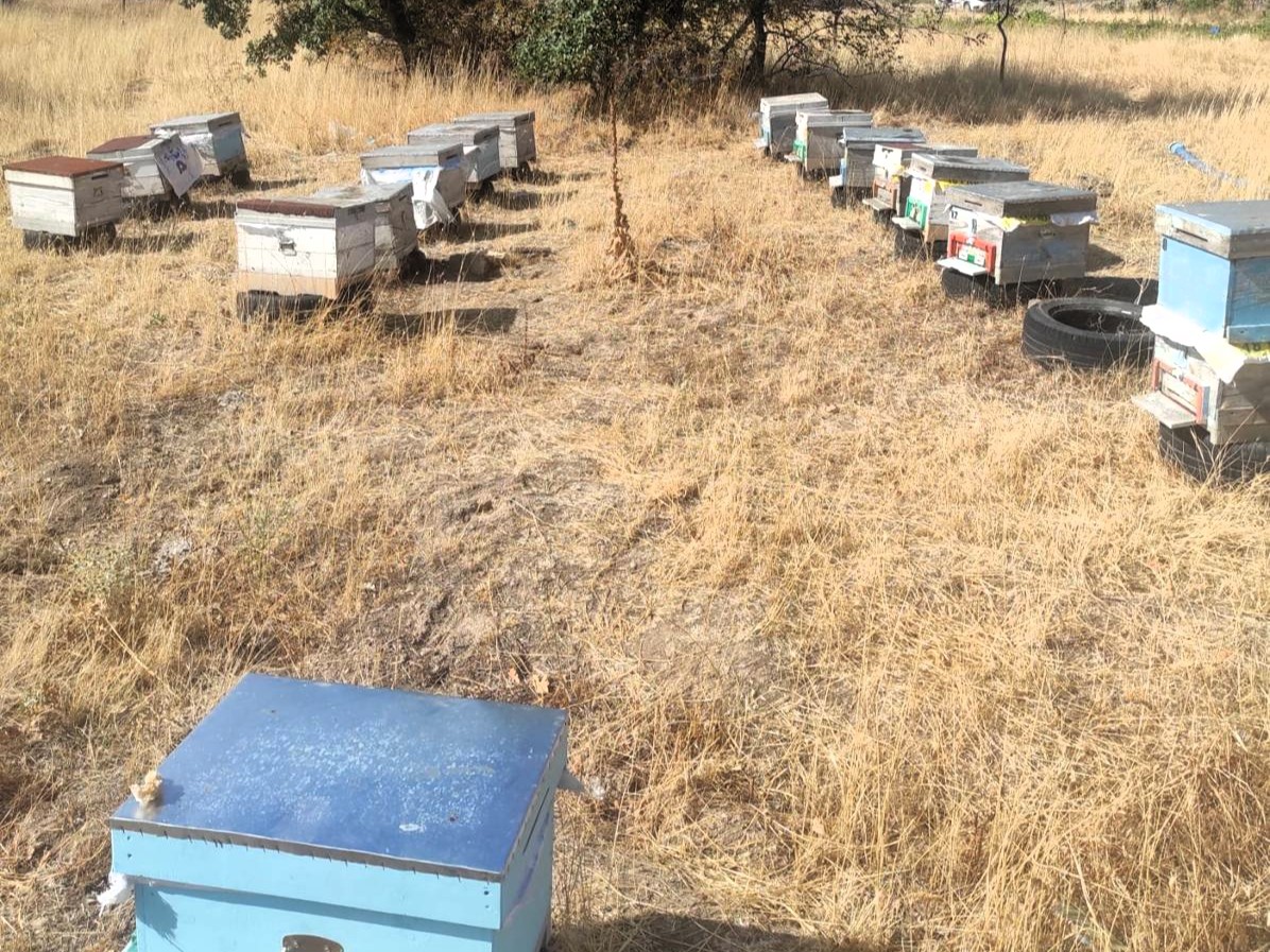 Pınarhisar’da arılı kovan tespit çalışması yapıldı
