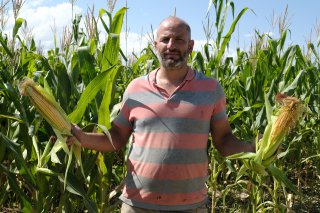 Erzincan Ovası&rsquo;nda silajlık mısır hasadı başladı! Son yıllarda &ccedil;ift&ccedil;ilerin g&ouml;zdesi oldu
