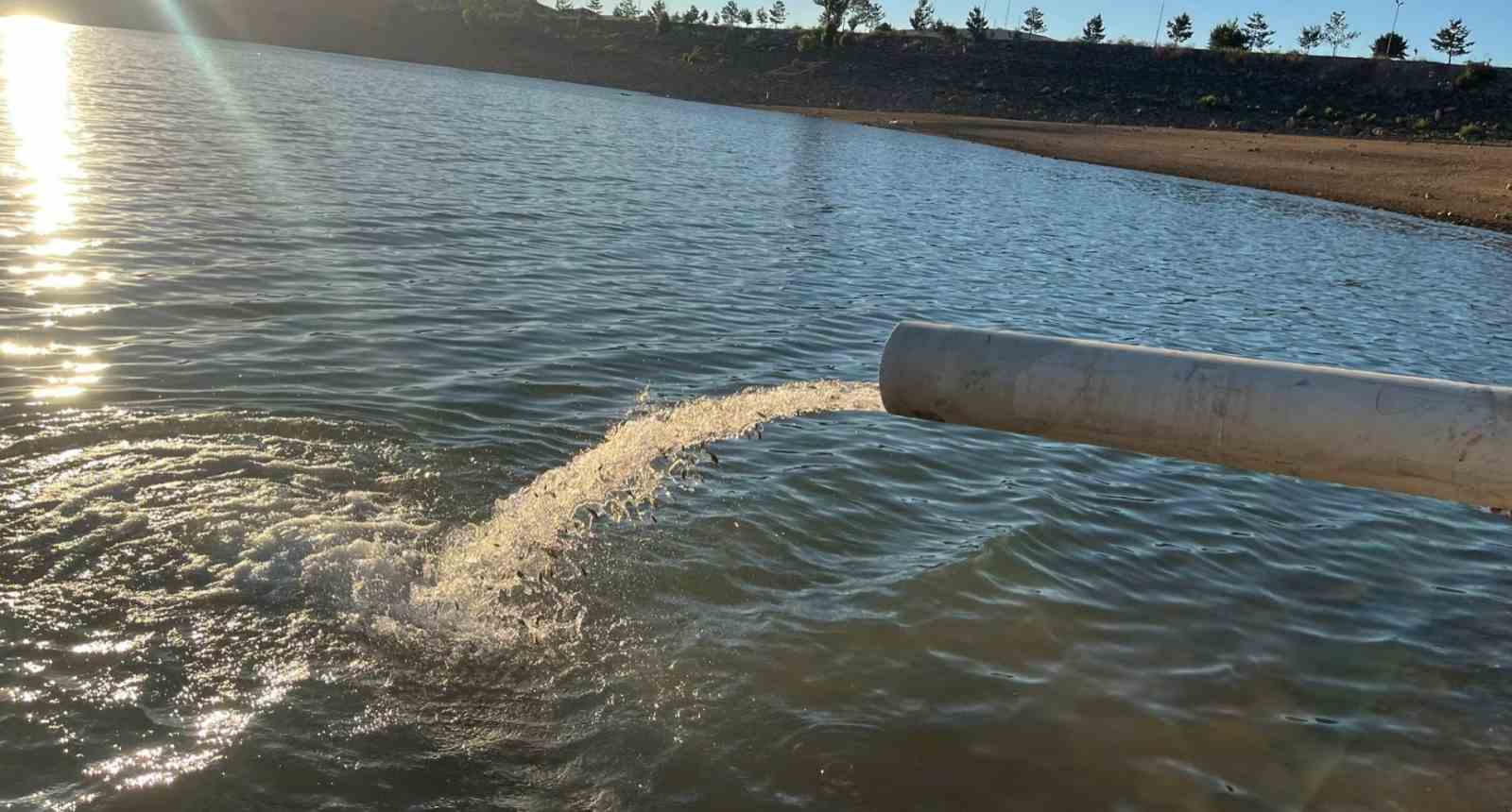 Gökçedere Göleti’ne 150 bin sazan yavrusu bırakıldı
