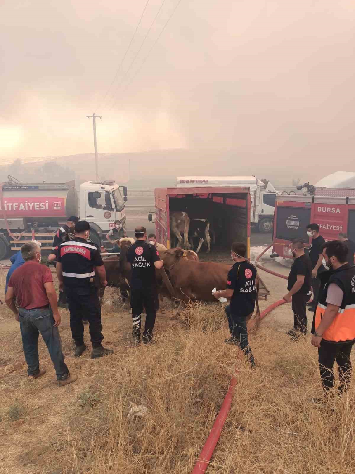 Bursa&rsquo;daki orman yangınına 718 personel m&uuml;dahale ediyor
