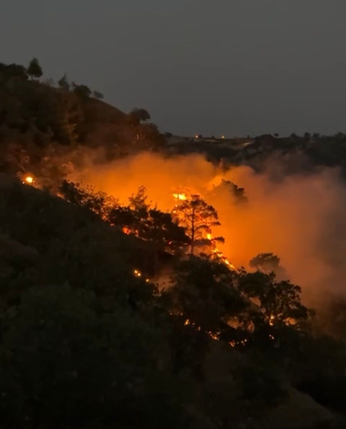 Aydın - Denizli sınırında &ccedil;ıkan orman yangını kontrol altına alındı
