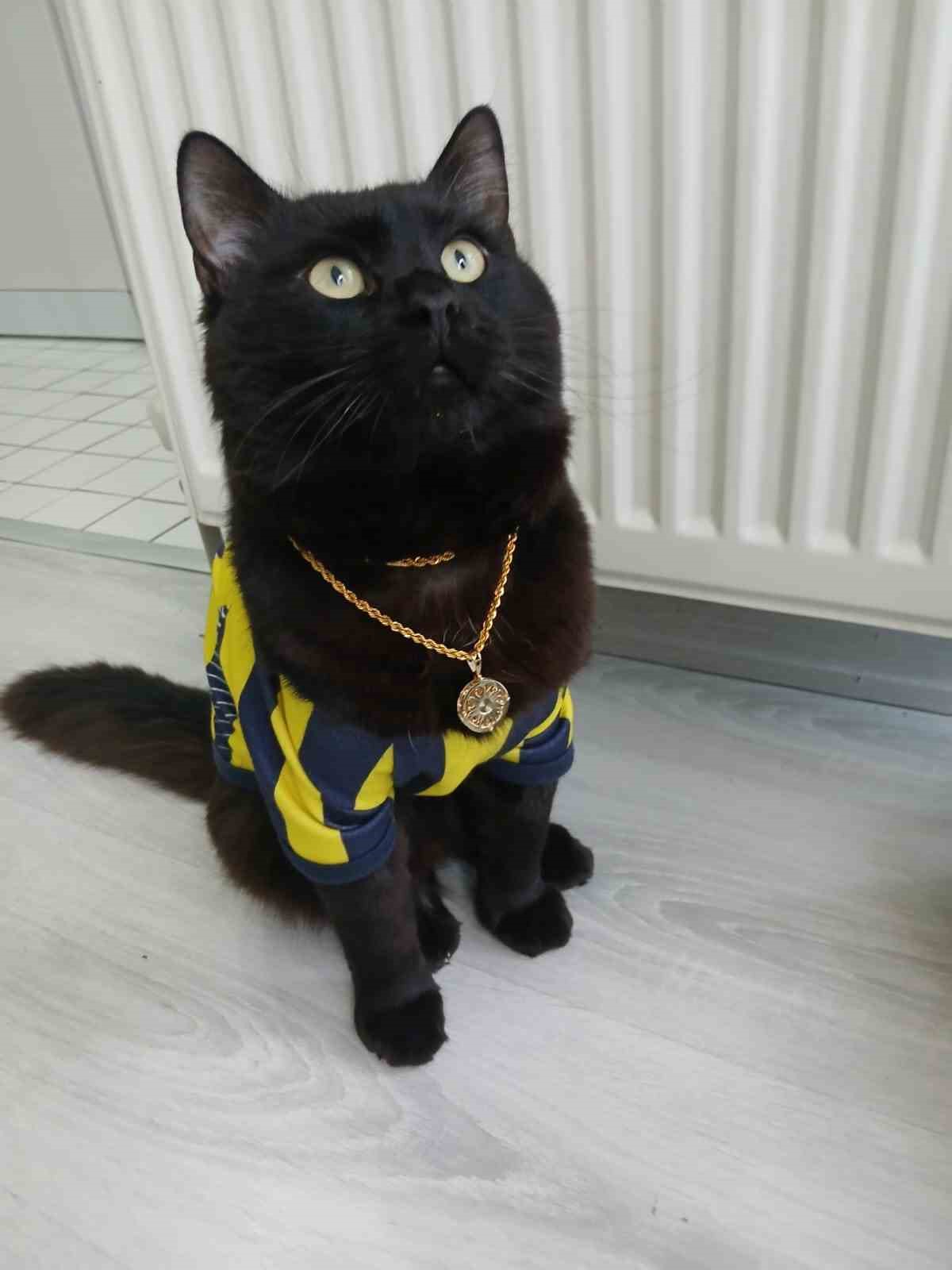 Avcılar&rsquo;da yangın paniği
