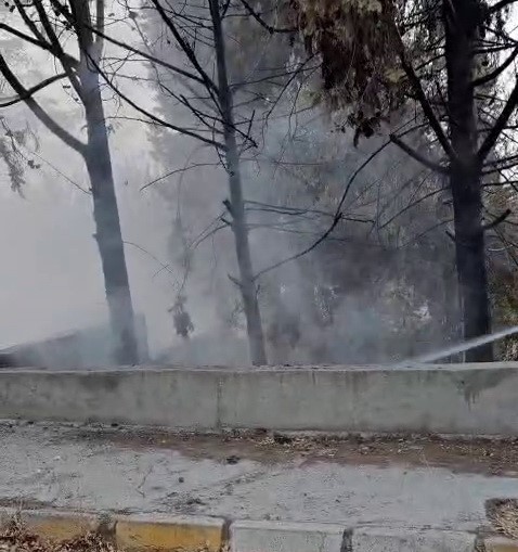 Mikser s&uuml;r&uuml;c&uuml;s&uuml; ağa&ccedil;ları yanmaktan kurtardı
