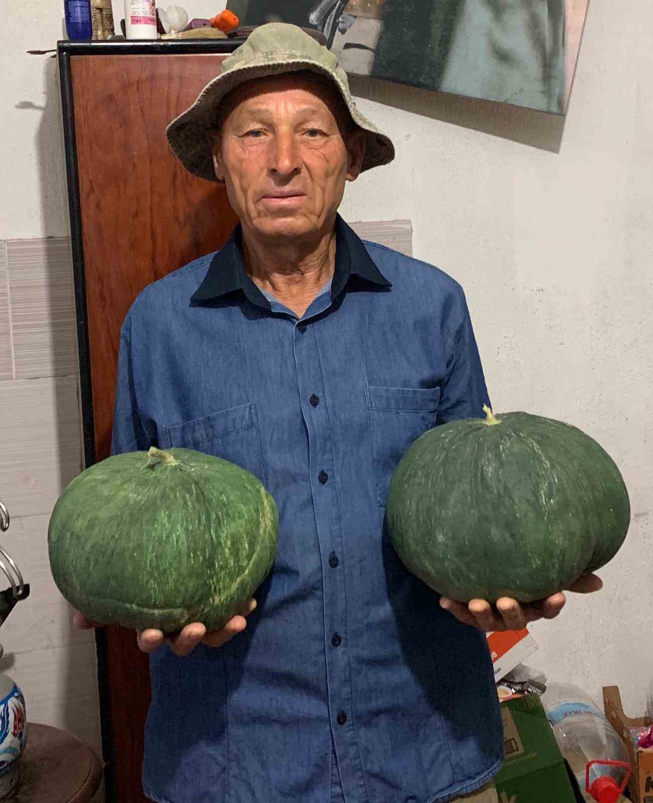 Dededen kalan tohumla "Çavuşlar Kavunu" yeniden canlandırıldı
