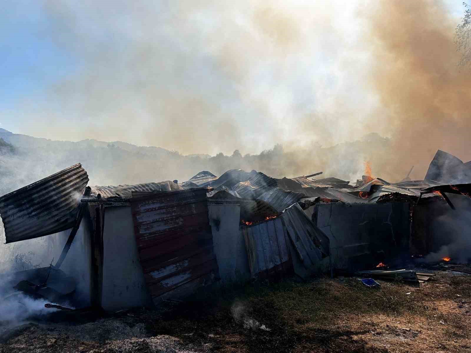 Alevlere teslim olan samanlık kullanılamaz hale geldi
