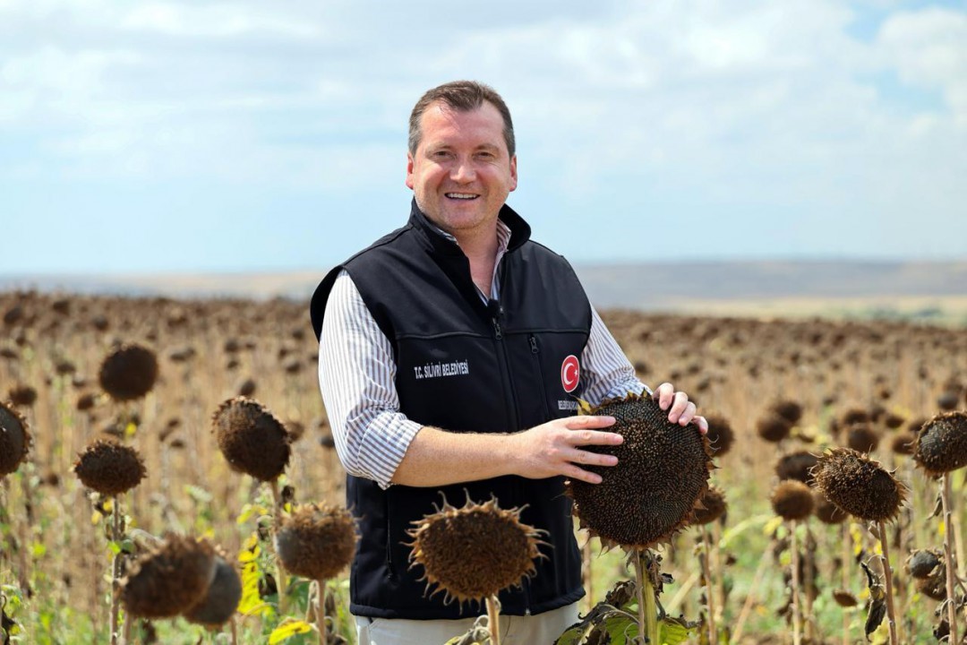 Silivri’de yaklaşık bin 500 dekar alanda ayçiçeği hasadı başladı