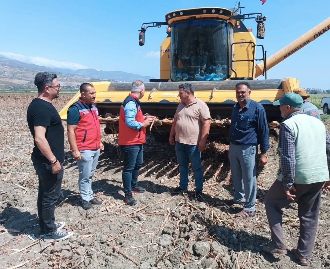 Kırıkhan&rsquo;da ay&ccedil;i&ccedil;eği hasadı başladı
