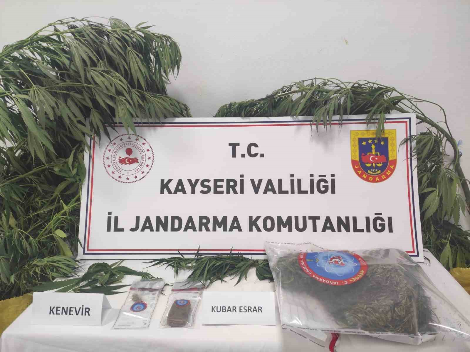 Kayseri&rsquo;de 7 k&ouml;k kenevir ele ge&ccedil;irildi: 1 g&ouml;zaltı
