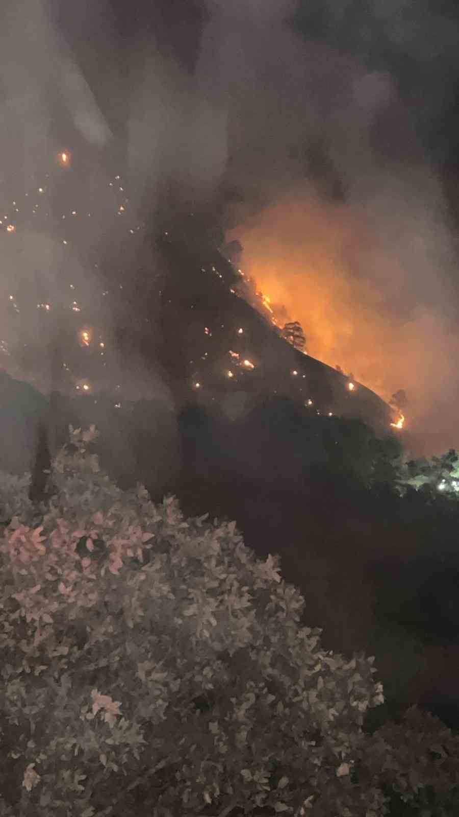 Buldan&rsquo;da yangını s&ouml;nd&uuml;rmek i&ccedil;in b&ouml;lgede bulunan dozer operat&ouml;r&uuml; yaralanarak hastaneye kaldırıldı
