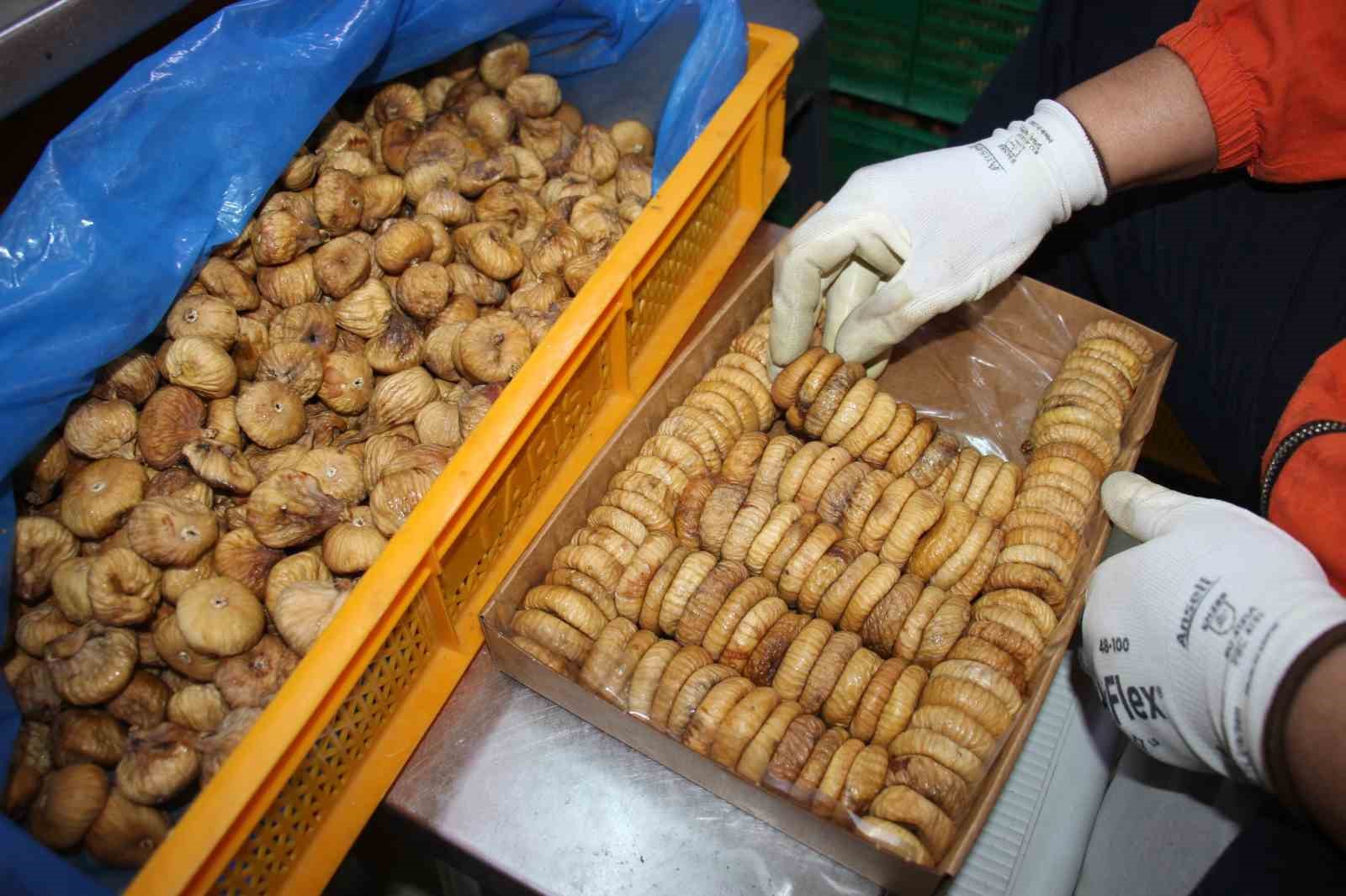 Aydın TARİŞ’te incir alım fiyatları belirlendi