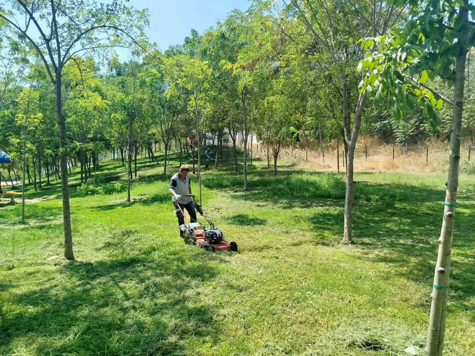 Gebze Tatlıkuyu Vadisi Kent Parkı&rsquo;na d&uuml;zenli bakım
