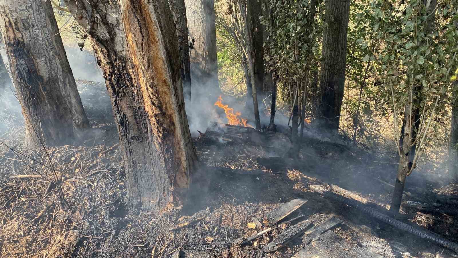&Ccedil;orum&rsquo;da tarlada &ccedil;ıkan yangın kontrol altına alındı, 1 kişi yaralandı

