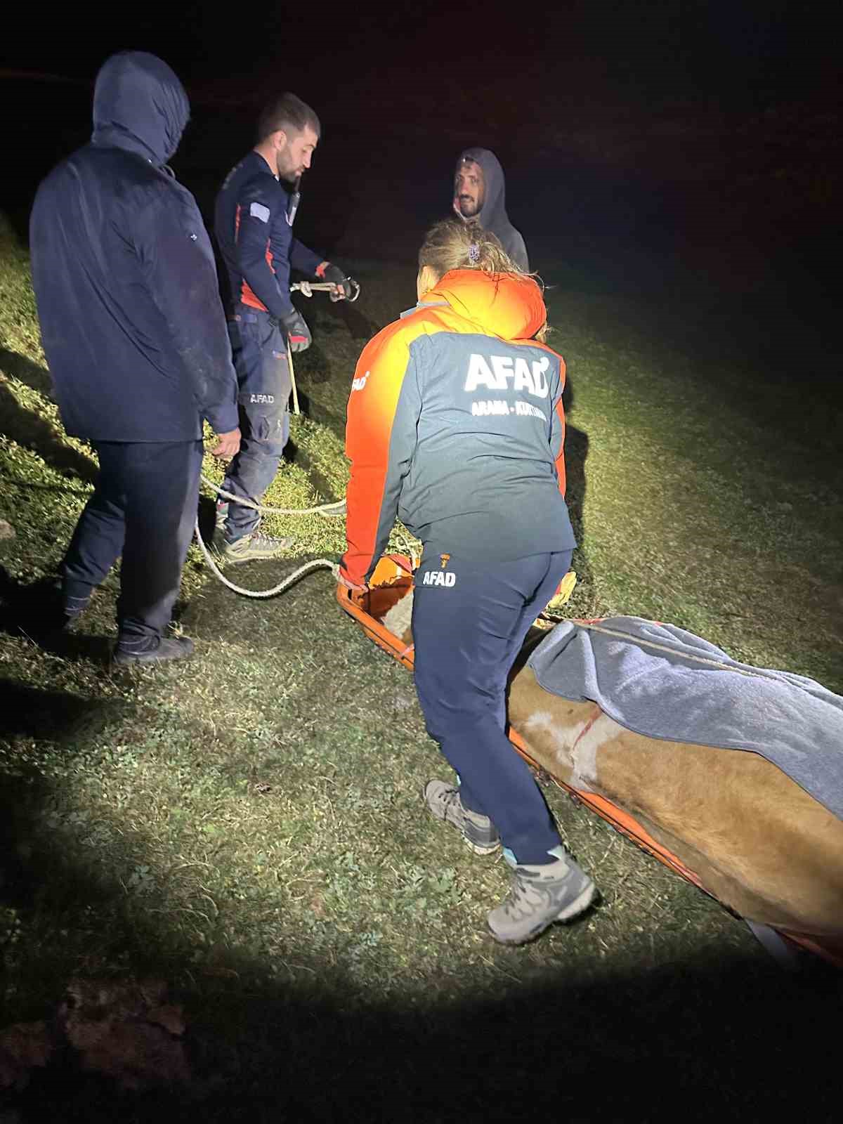 Yama&ccedil;tan d&uuml;şerek mahsur kalan inek AFAD ekiplerince kurtarıldı
