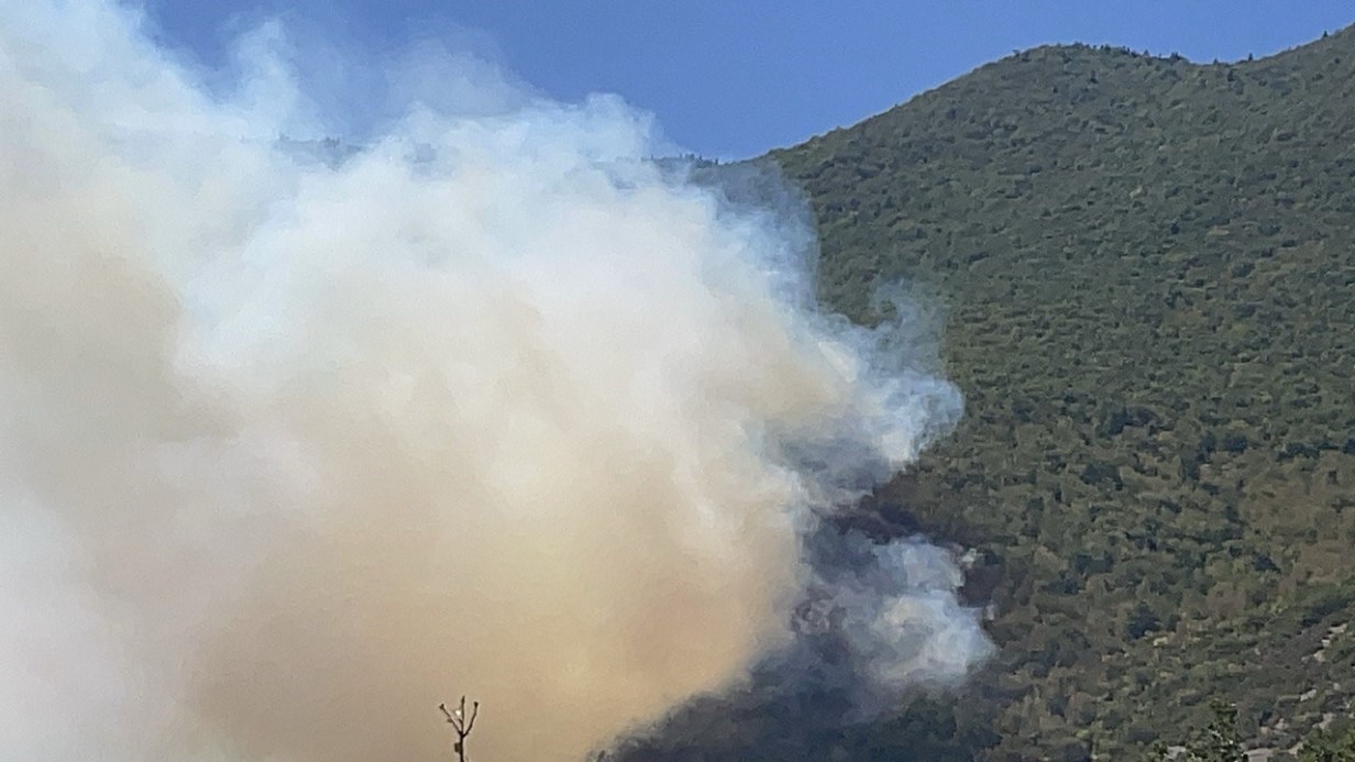 Üç il birden yanıyor: Denizli'de 3 gündür süren yangına müdahale devam ediyor