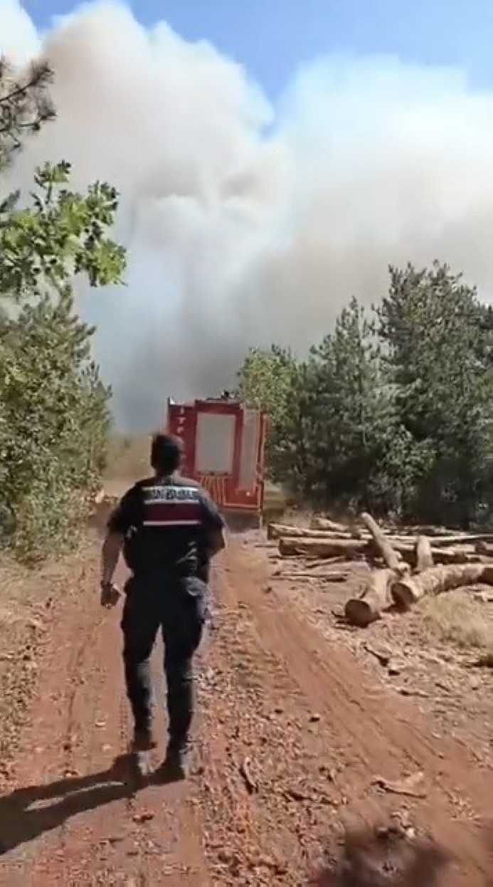 Üç il birden yanıyor: Denizli'de 3 gündür süren yangına müdahale devam ediyor