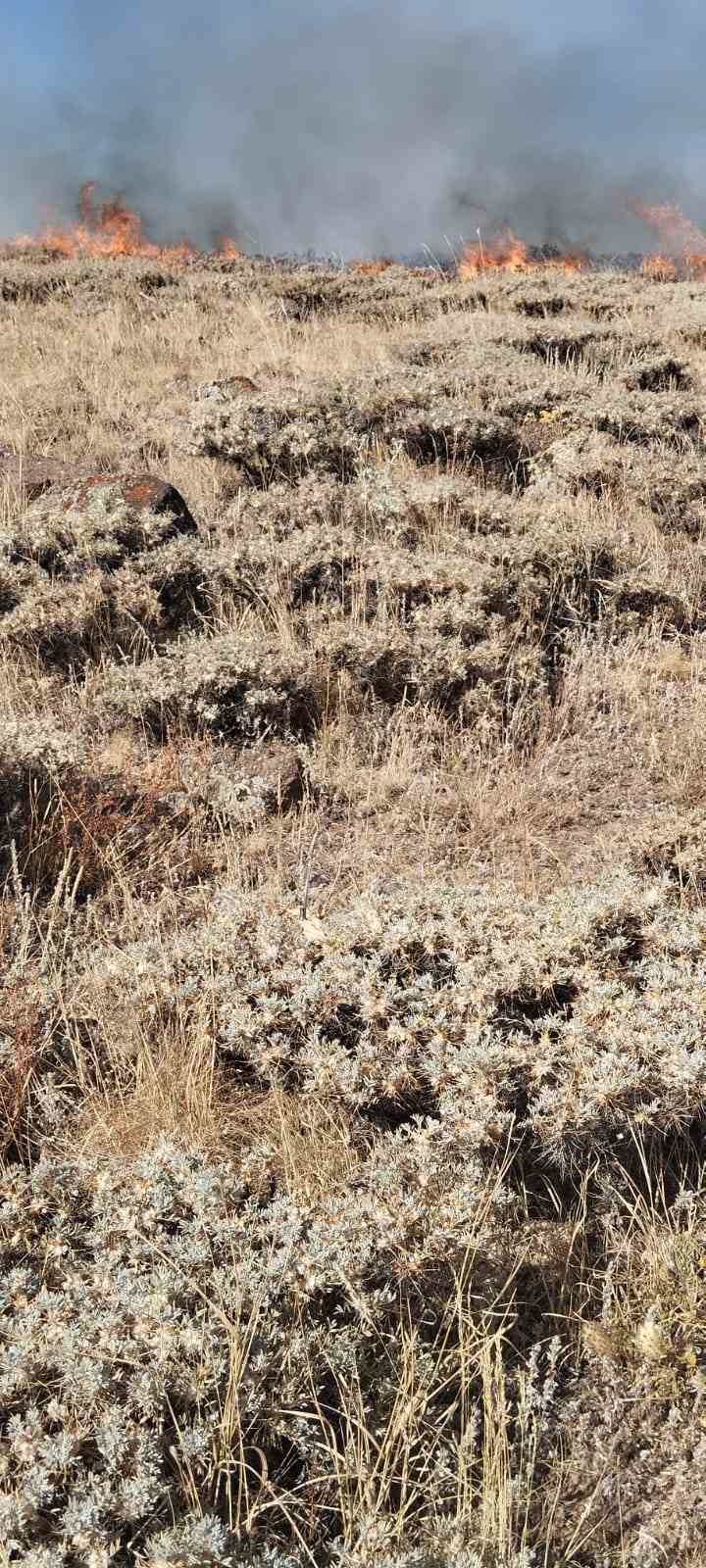 Erzurum&rsquo;da korkutan ot yangını
