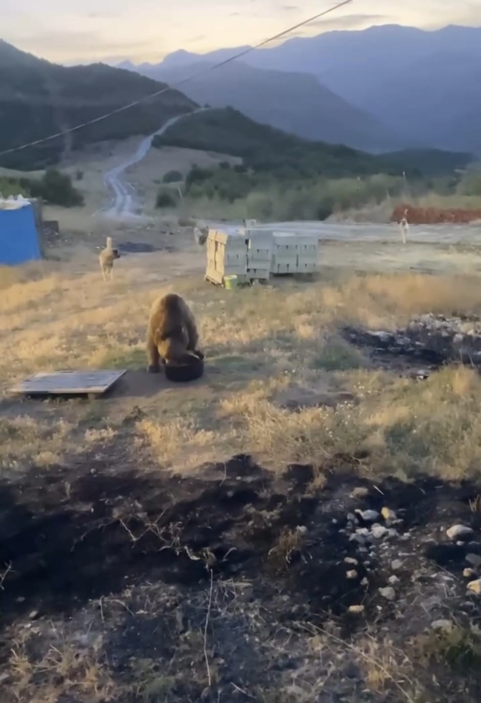 Tunceli’de karakolun davetsiz misafiri: Bozayı
