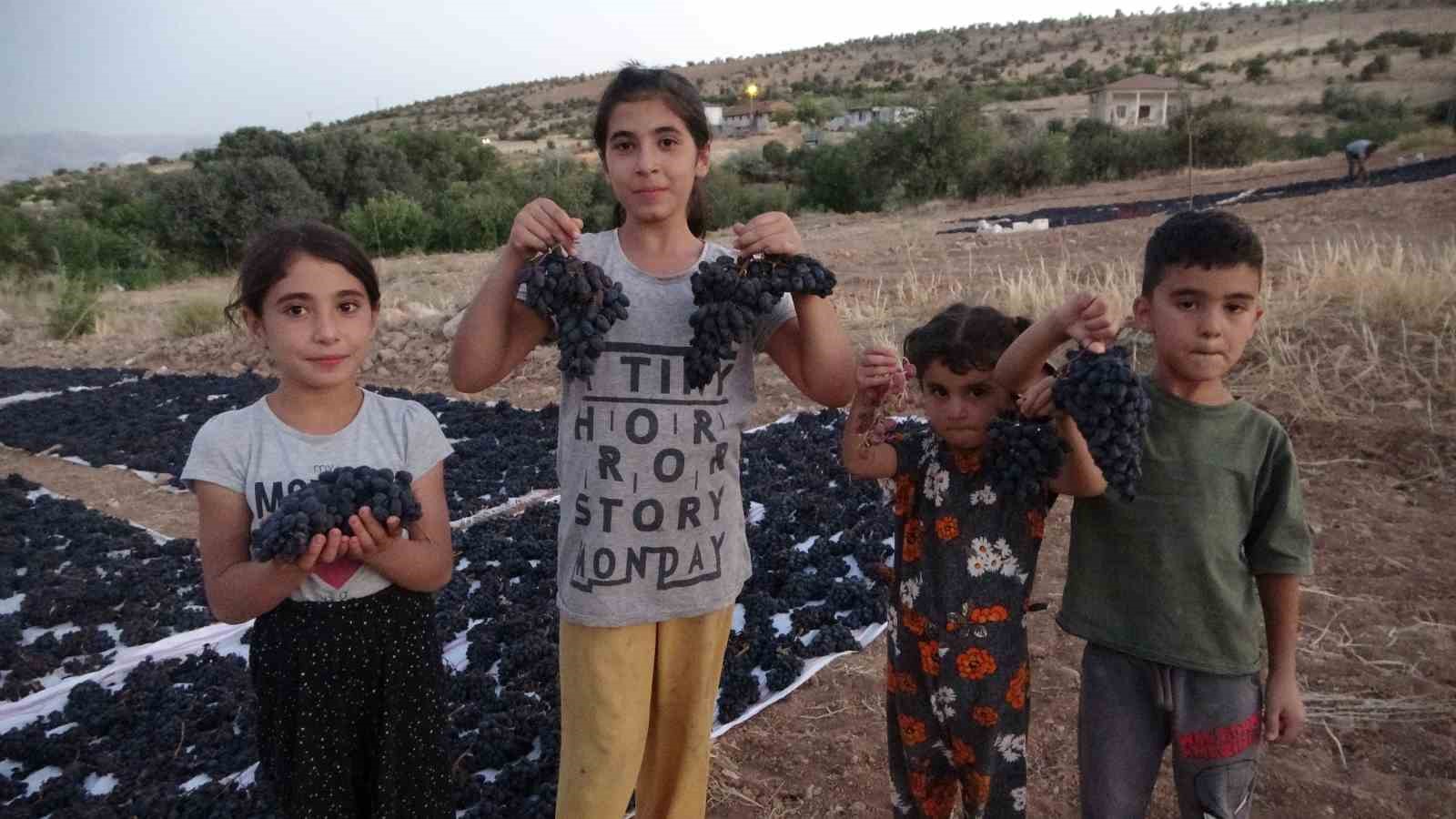 Malatya’da kilosu 500 TL’den alıcı bulan kuru üzüm yüz güldürüyor
