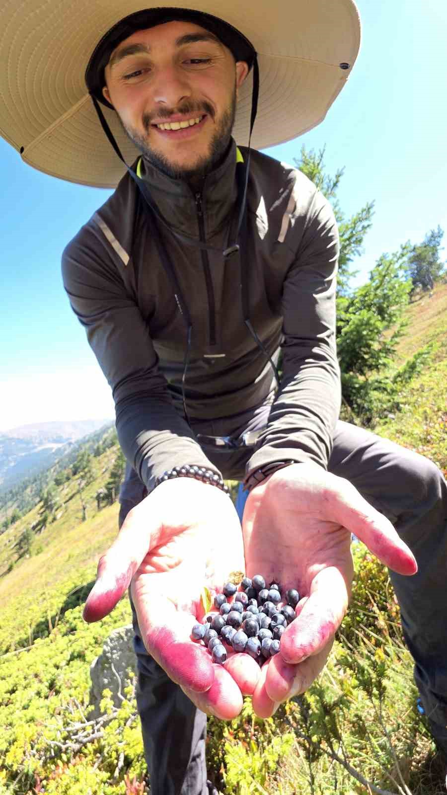 Doğanın şifa kaynağı Likarpa, Gümüşhane’de şenliğe dönüştü
