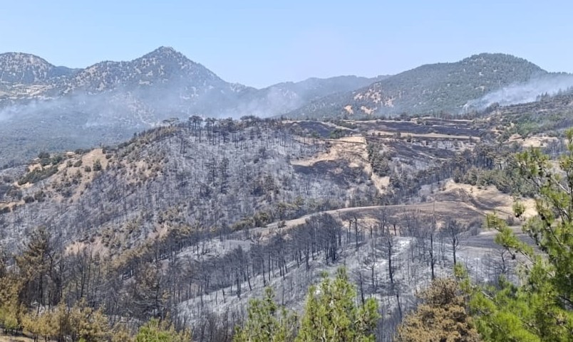 Ot temizlemek isterken ormanı yakan 3 ş&uuml;pheli g&ouml;zaltına alındı
