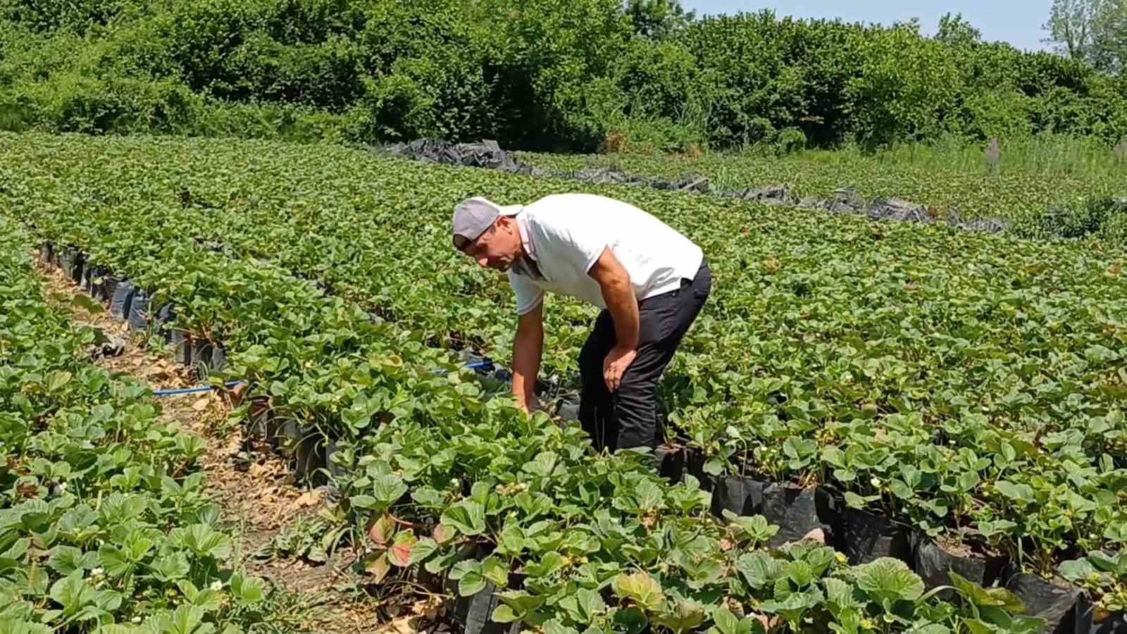 Yanlış çalışma hastanelik ediyor
