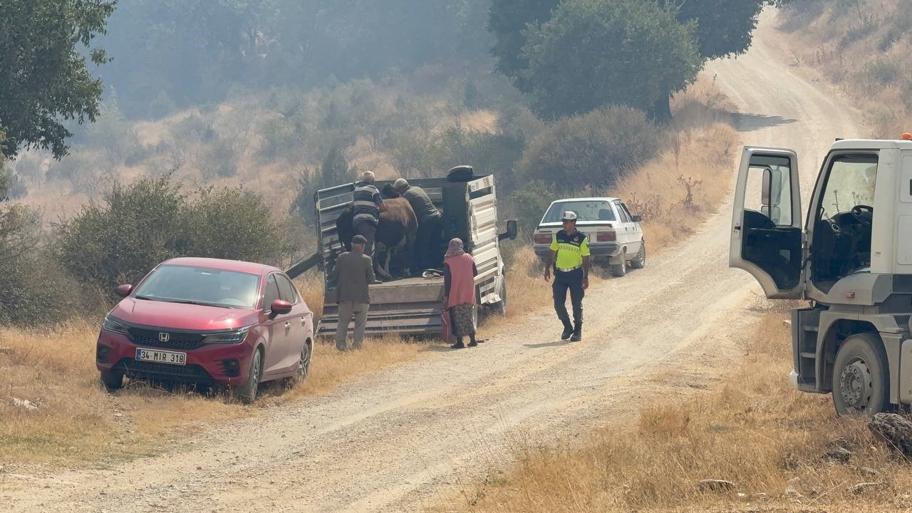 Karabük’te çıkan orman yangını Kastamonu’ya sıçradı: Alevlerin yaklaştığı köy tahliye edildi