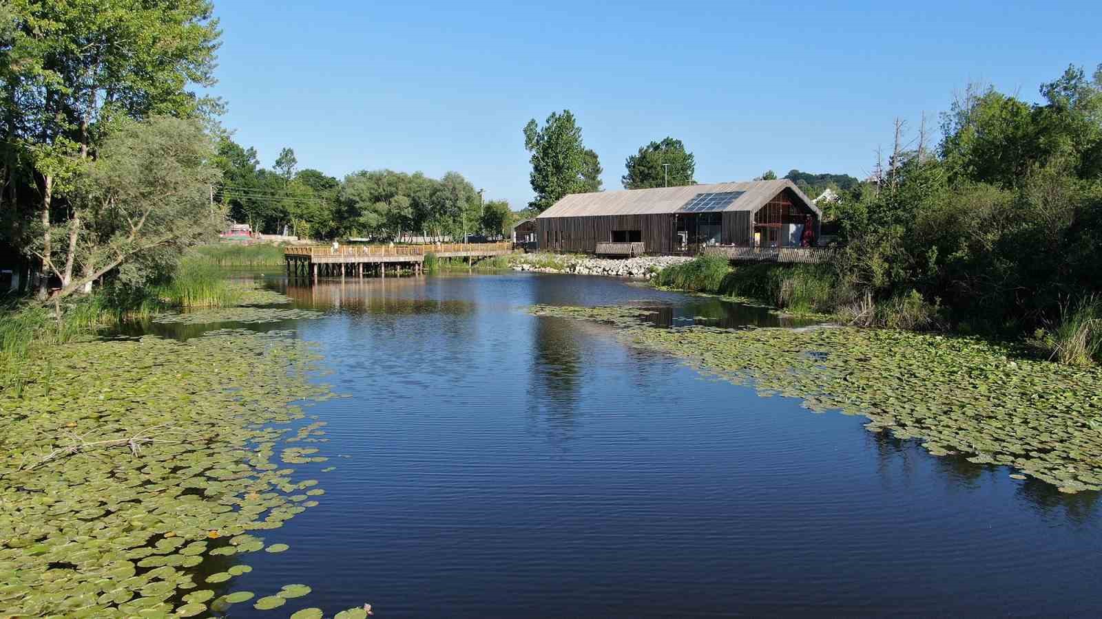 Acarlar Longozu yaz sezonunda ziyaret&ccedil;i akınına uğradı
