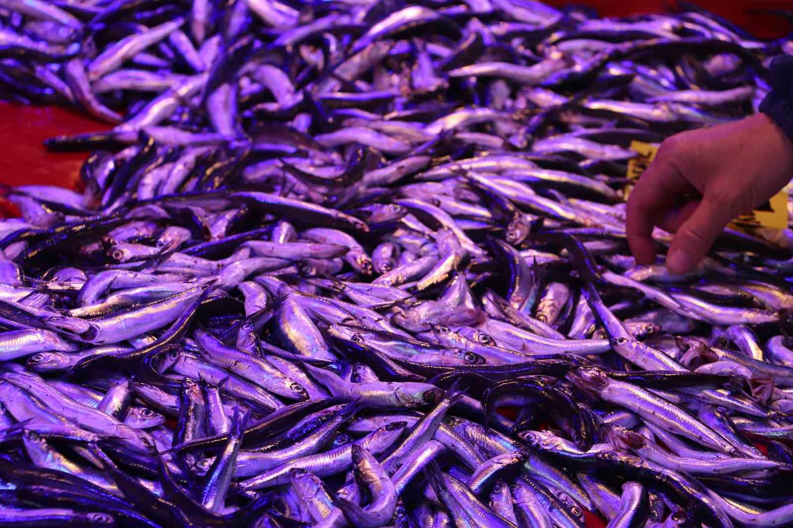 Yeni sezon Eskişehir balık pazarını canlandırdı