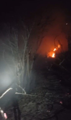 Elektrik tellerinden &ccedil;ıkan yangında ağa&ccedil;lık alan alevlere teslim oldu
