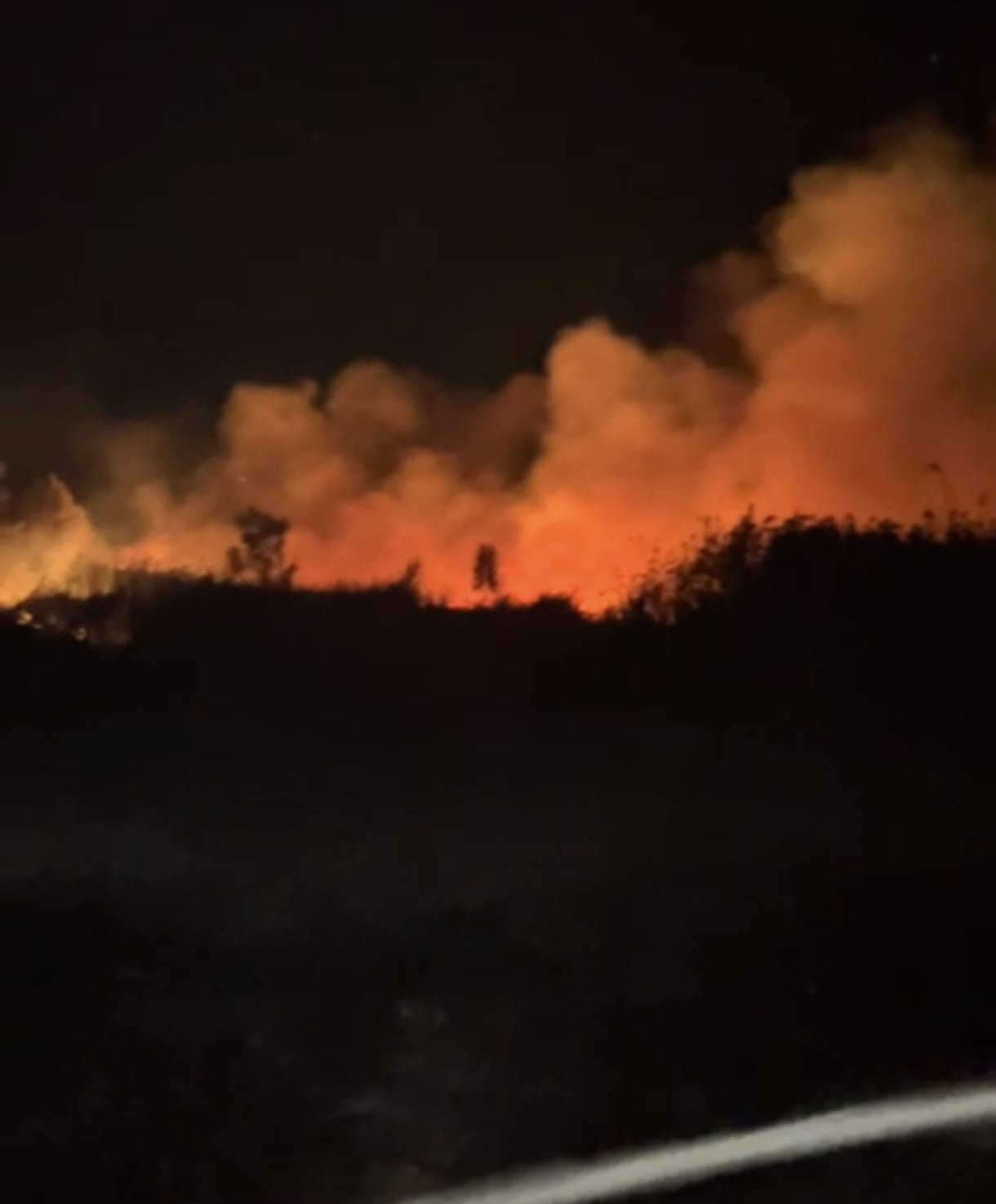 İznik’te korkutan yangın