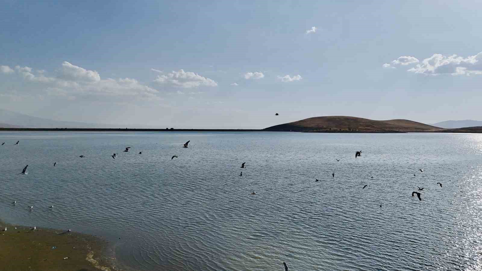 Patnos Barajı’nda su seviyesi alarm veriyor