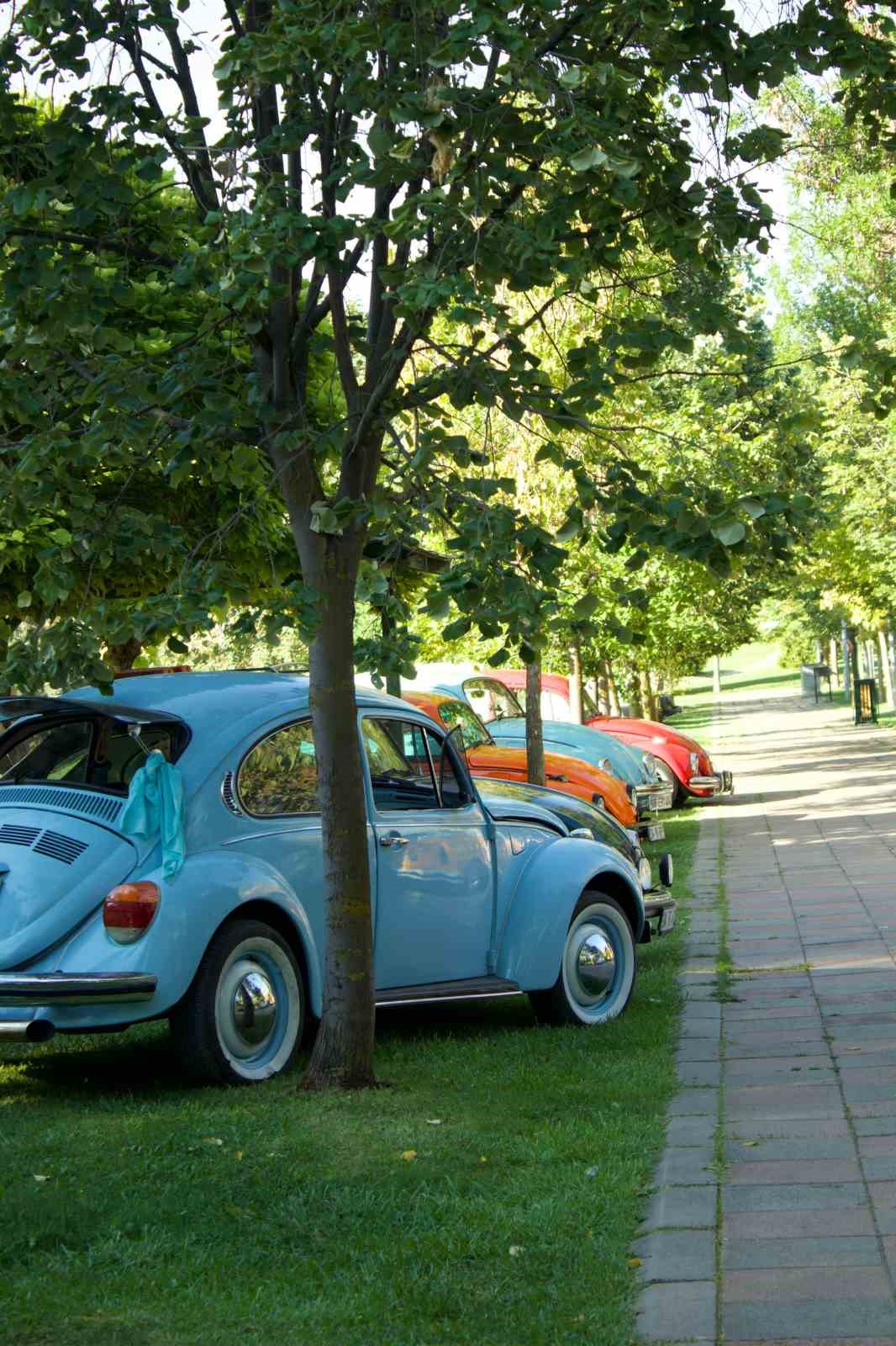 50 aracın katıldığı &rsquo;Vosvos&rsquo; kampı renkli g&ouml;r&uuml;nt&uuml;lere sebep oldu
