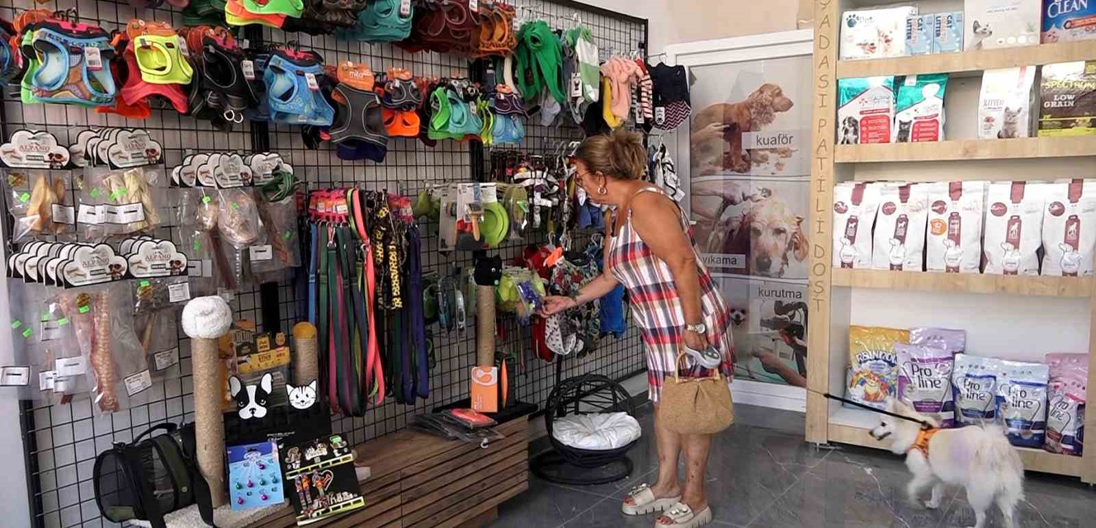 Adalı Kart’tan hayvan severlere müjdeli haber
