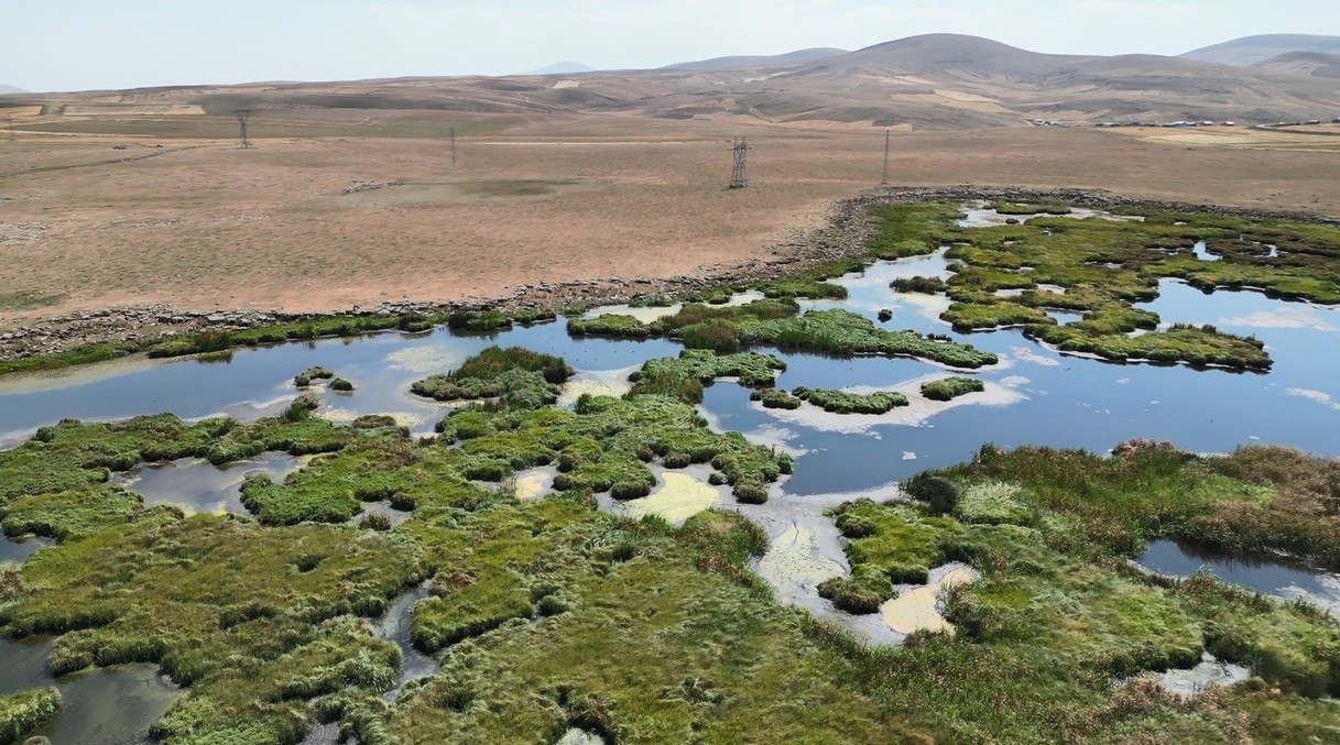 Kars’ta kuraklığın vurduğu Çalı Gölü’nü kuşlar terk etti
