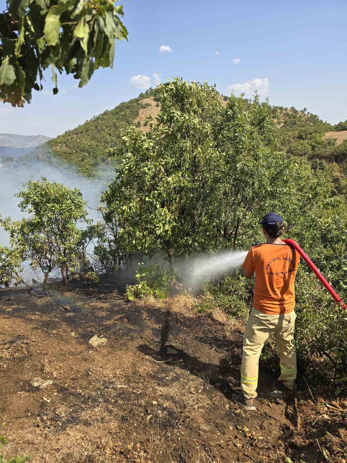 Bing&ouml;l&rsquo;de orman yangını: Havadan karadan m&uuml;dahale s&uuml;r&uuml;yor
