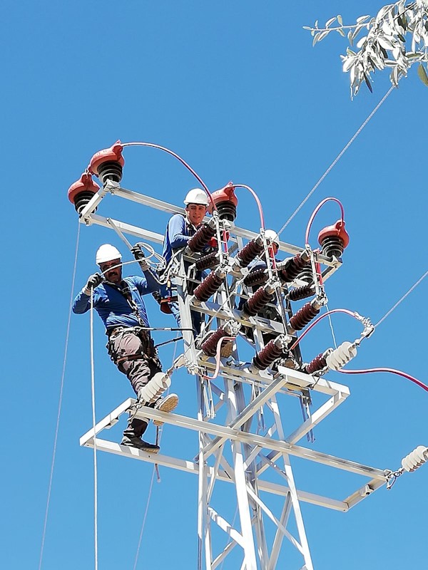 Fırat EDAŞ,  kesintisiz enerji arzını ve leylekleri güvence altına alıyor
