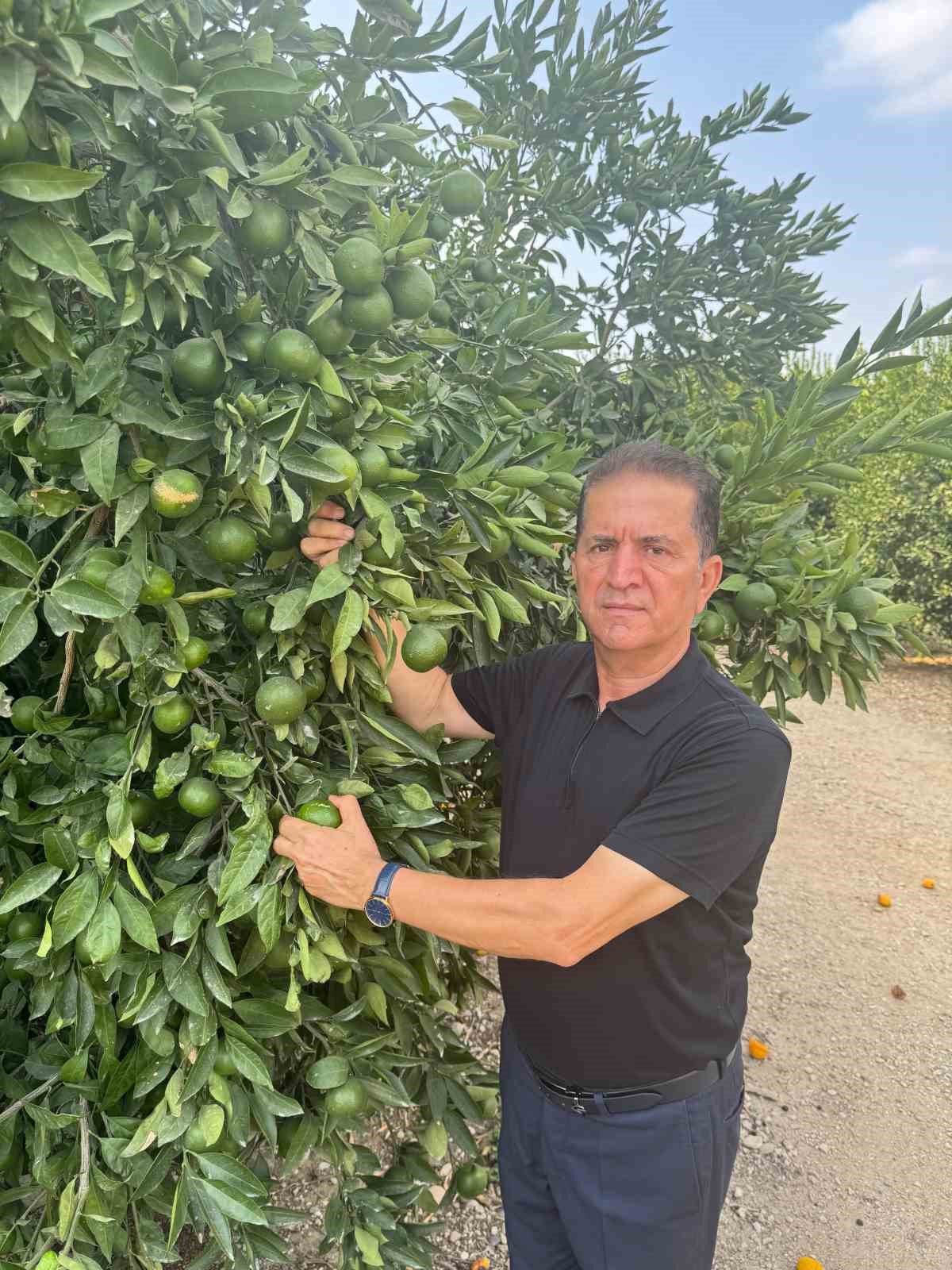 Doğan "Turunçgil kesim ve ihraç tarihlerinde sahadaki gerçek üretim şartları dikkate alınmalıdır’’
