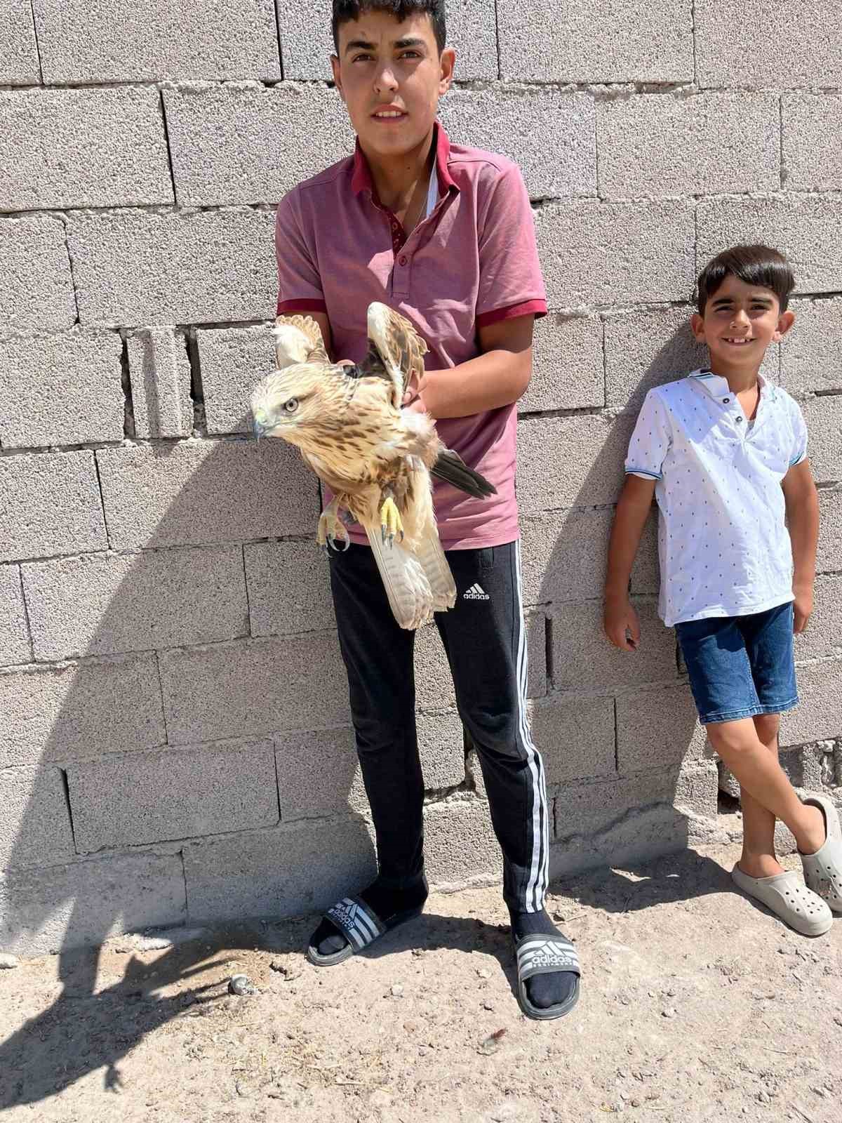 Karapınar’da yaralı kızıl şahin bulundu
