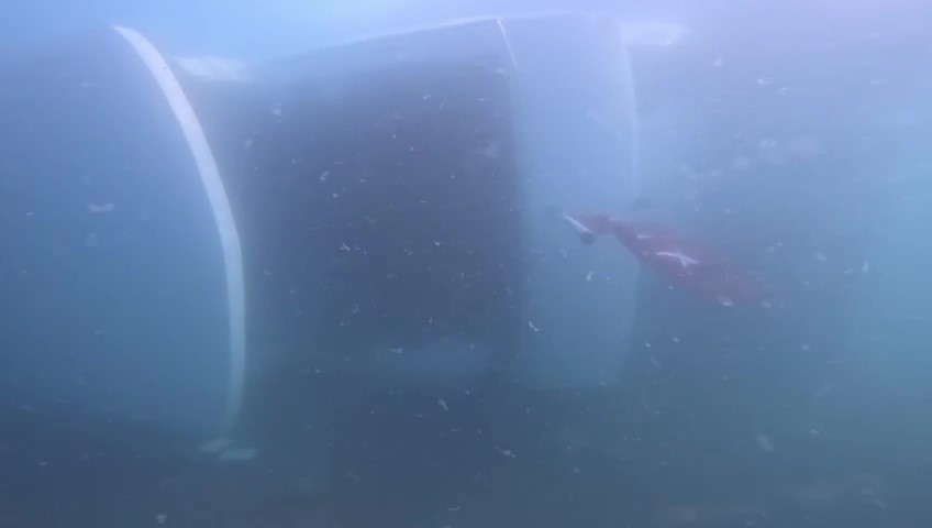 Zonguldak&rsquo;ta denizde batan 40 milyon liralık yatın su altı g&ouml;r&uuml;nt&uuml;leri ortaya &ccedil;ıktı
