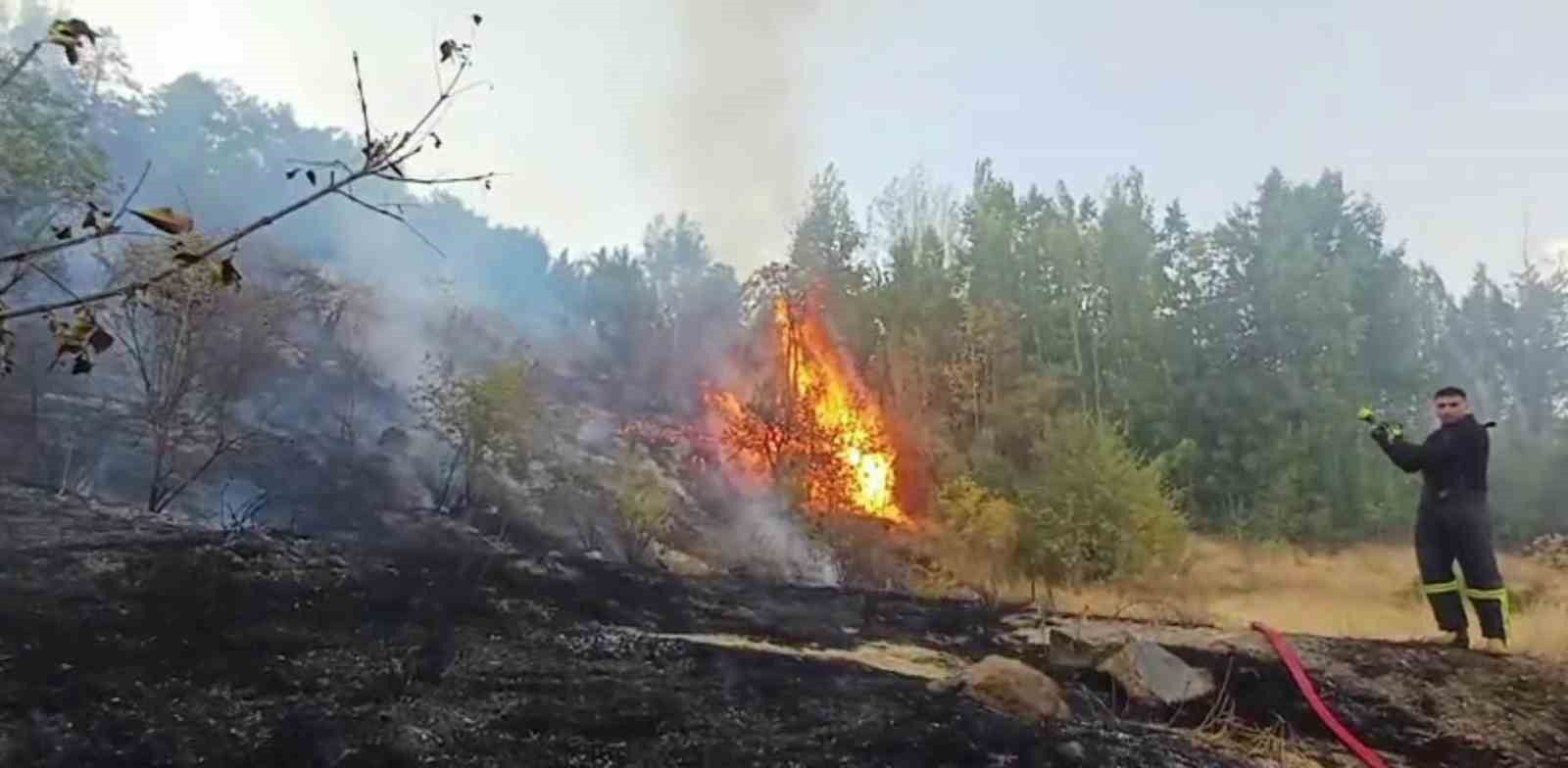 Hakkari&rsquo;de 3 farklı b&ouml;lgede &ccedil;ıkan yangın itfaiye ekiplerince s&ouml;nd&uuml;r&uuml;ld&uuml;
