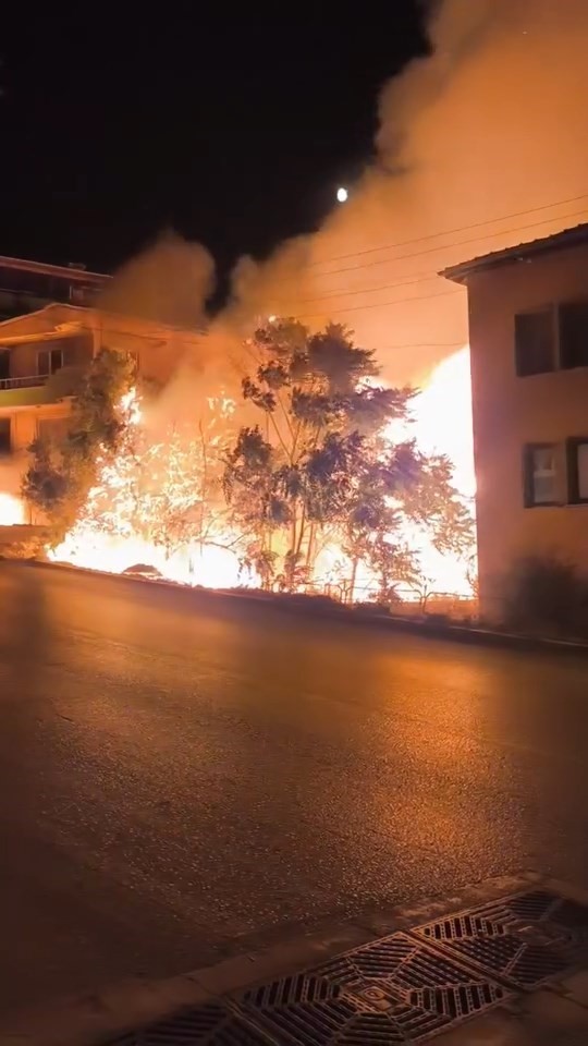 Bursa&rsquo;da alev alan ağa&ccedil;lar villaları b&ouml;yle tehdit etti
