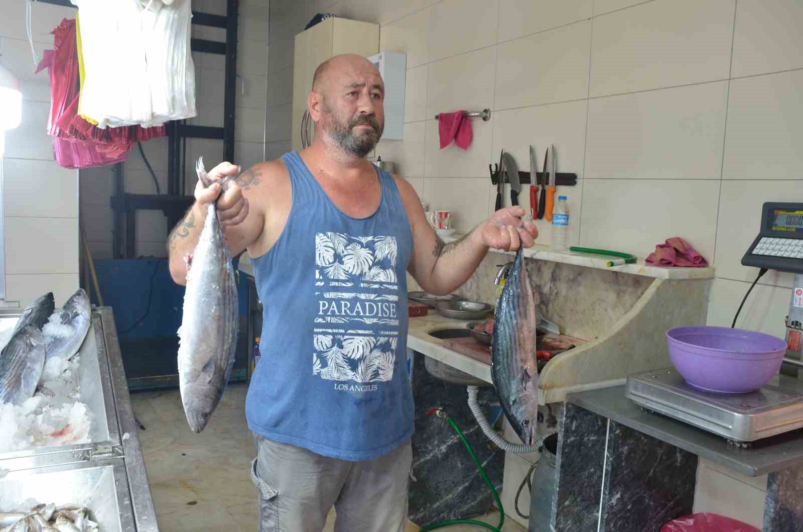 Sinop’ta torik bolluğu: Tanesi 800 TL
