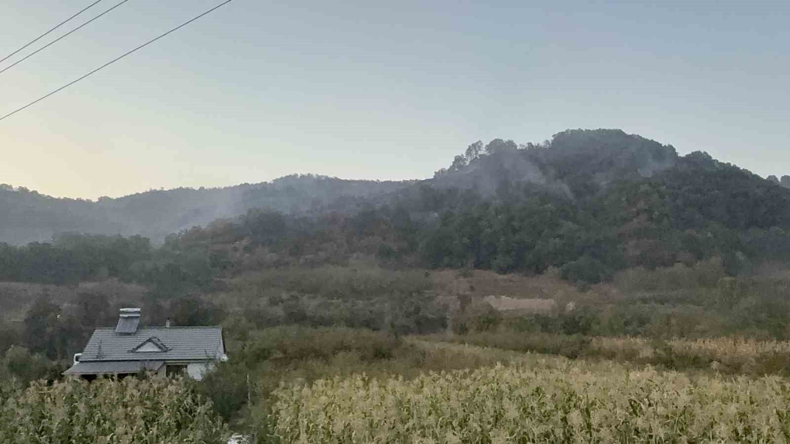 D&uuml;zce&rsquo;deki orman yangını kısmen kontrol altına alındı
