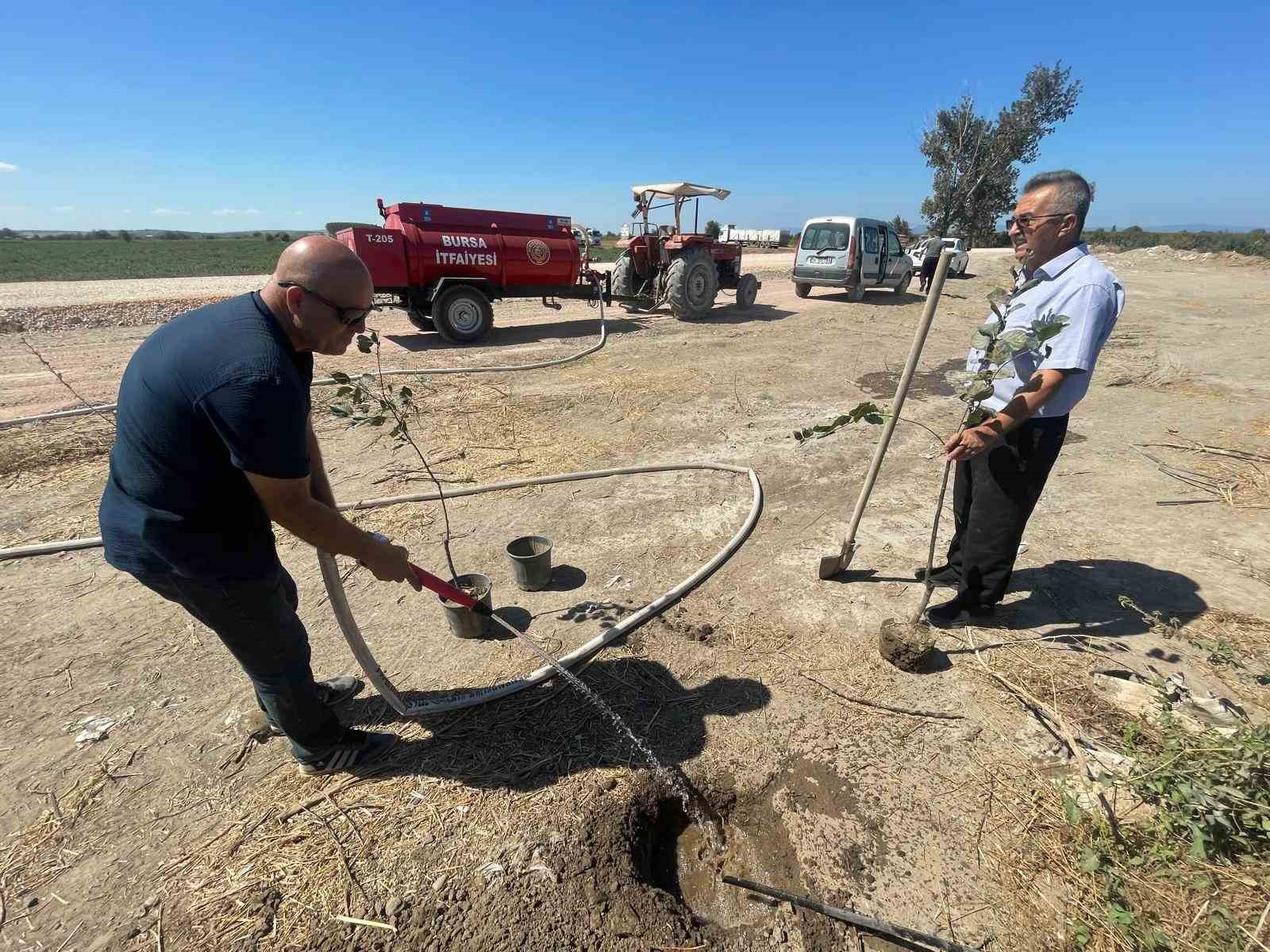Orman yangınlarında kaybedilen her ağaç yerine 10 fidan
