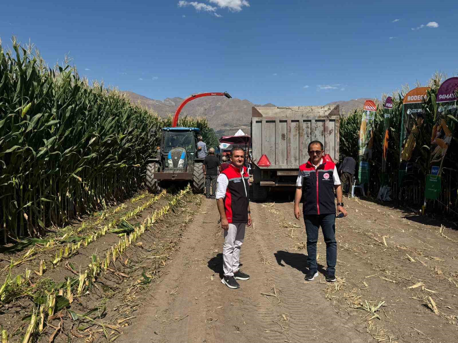 Erzincan’da silajlık mısırın hasadı sürüyor
