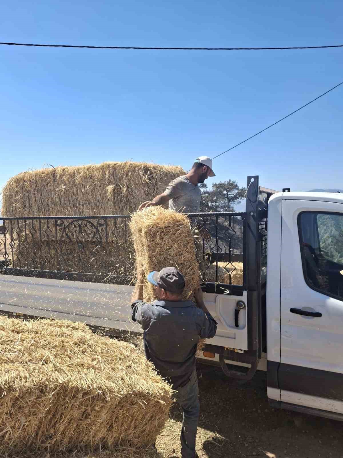 Buldan’da orman yangınından etkilenen üreticilere saman ve yem desteği sağlandı
