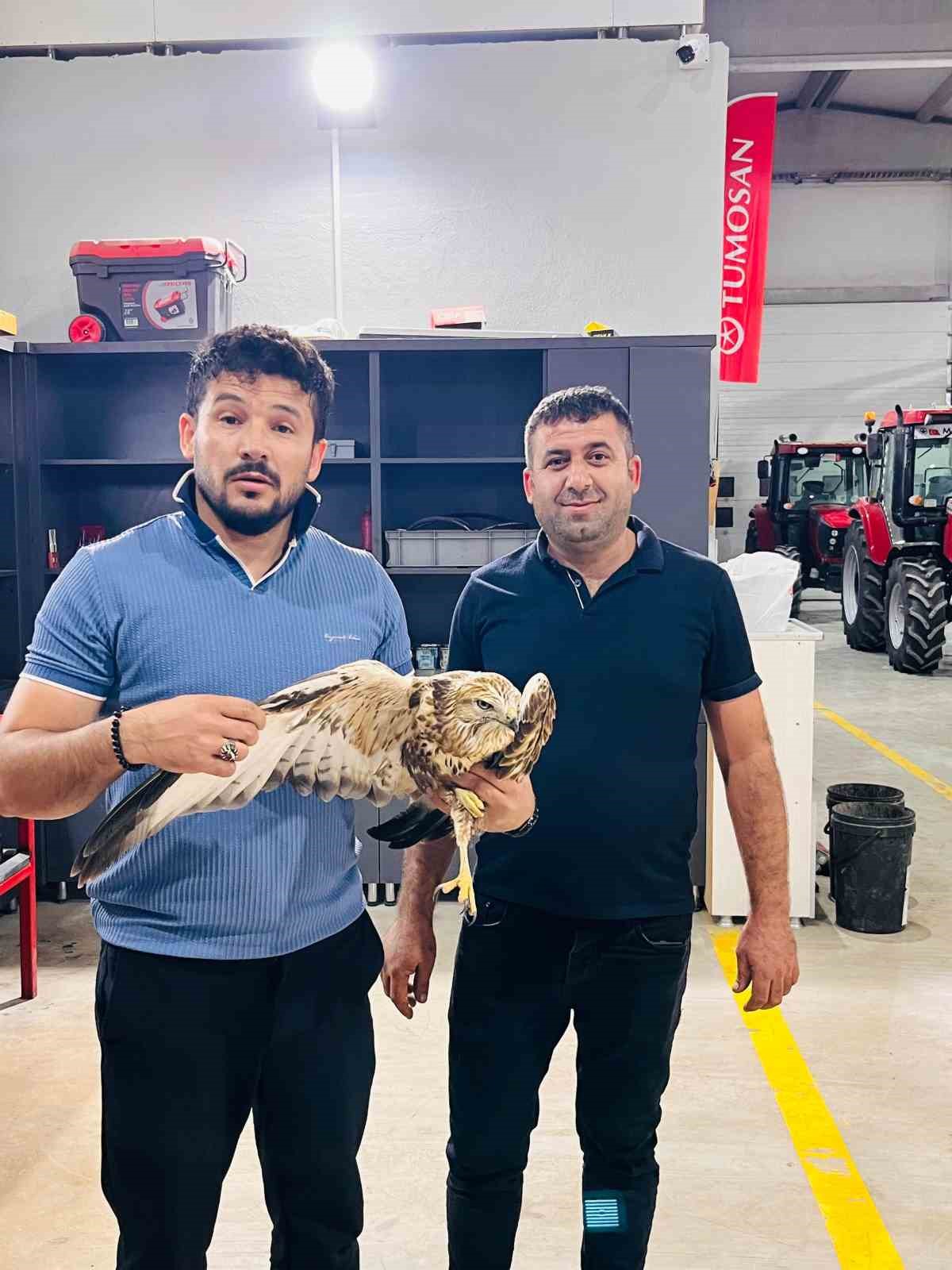 Karapınar&rsquo;da yaralı halde bulunan Kızıl Şahin koruma altına alındı
